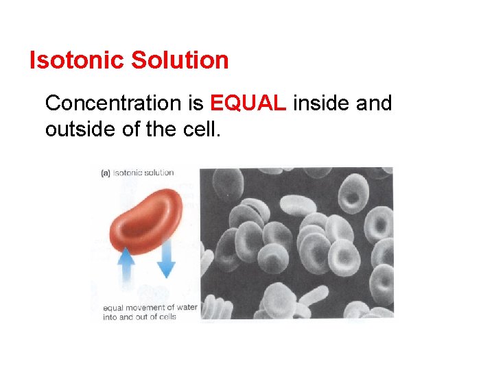 Isotonic Solution Concentration is EQUAL inside and outside of the cell. 