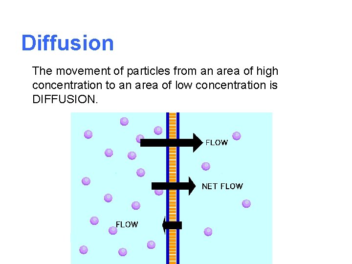 Diffusion The movement of particles from an area of high concentration to an area