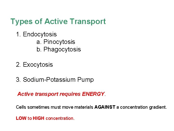 Types of Active Transport 1. Endocytosis a. Pinocytosis b. Phagocytosis 2. Exocytosis 3. Sodium-Potassium