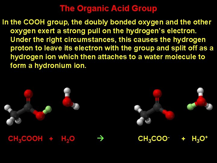 The Organic Acid Group In the COOH group, the doubly bonded oxygen and the