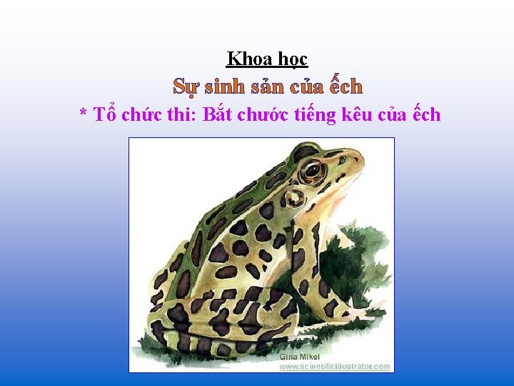 Khoa học Sự sinh sản của ếch * Tổ chức thi: Bắt chước tiếng