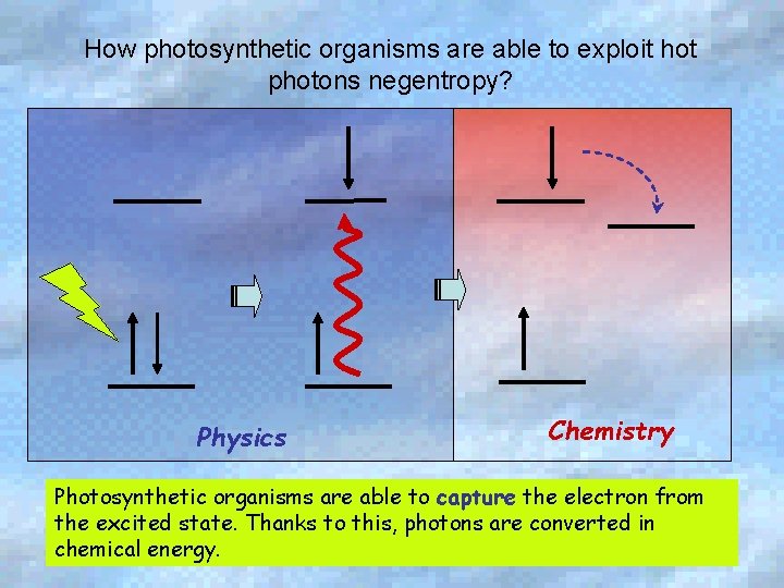 What Thermodynamics Can Tell Us About Living Organisms
