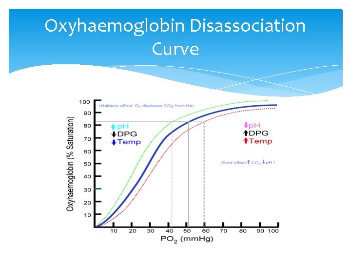 Oxyhaemoglobin Disassociation Curve Oxyhaemoglobin Disassociation Curve