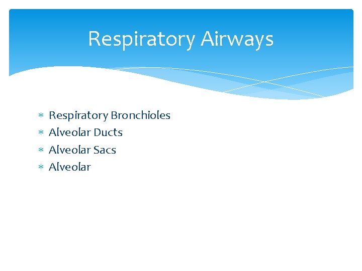 Respiratory Airways Respiratory Bronchioles Alveolar Ducts Alveolar Sacs Alveolar Respiratory Airways Respiratory Bronchioles Alveolar Ducts Alveolar Sacs Alveolar