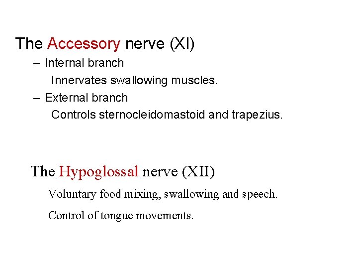 The Accessory nerve (XI) – Internal branch Innervates swallowing muscles. – External branch Controls