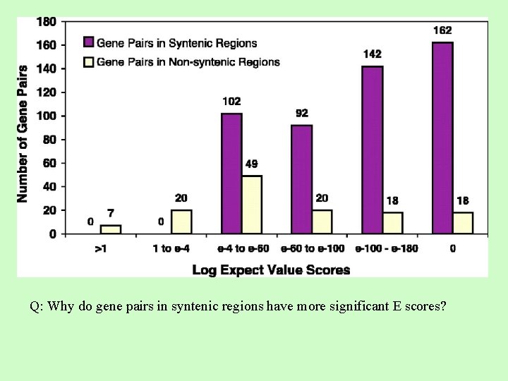 Q: Why do gene pairs in syntenic regions have more significant E scores? 