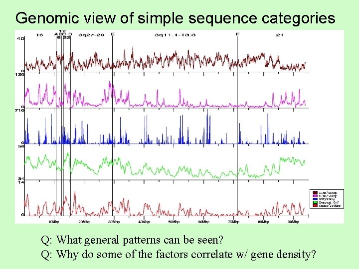 Genomic view of simple sequence categories Q: What general patterns can be seen? Q: