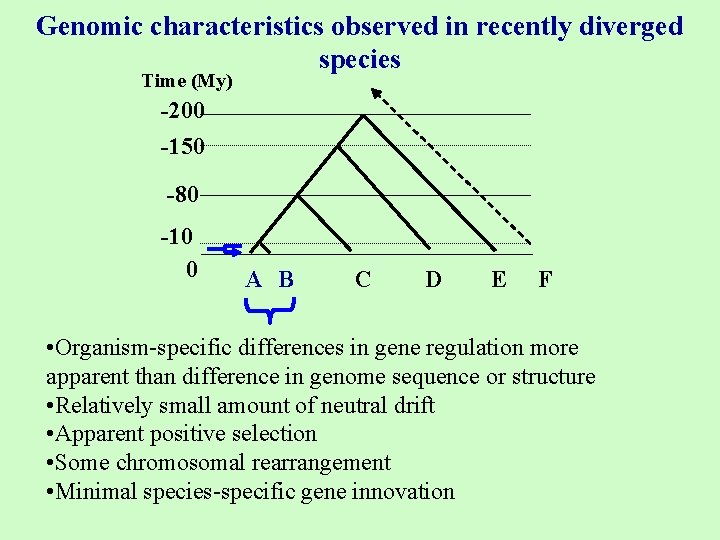 Genomic characteristics observed in recently diverged species Time (My) -200 -150 -80 -10 0