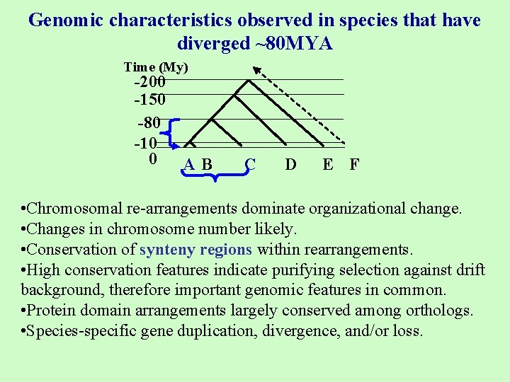 Genomic characteristics observed in species that have diverged ~80 MYA Time (My) -200 -150