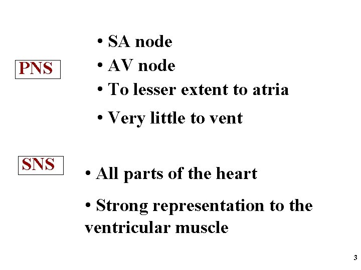 PNS • SA node • AV node • To lesser extent to atria •