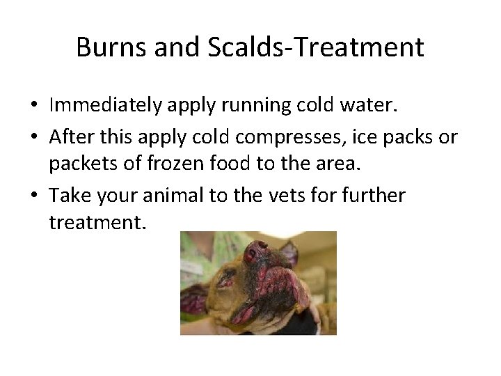 Burns and Scalds-Treatment • Immediately apply running cold water. • After this apply cold