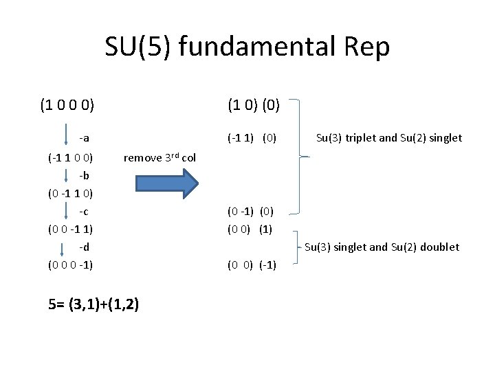 SU(5) fundamental Rep (1 0 0 0) (1 0) (0) -a (-1 1 0