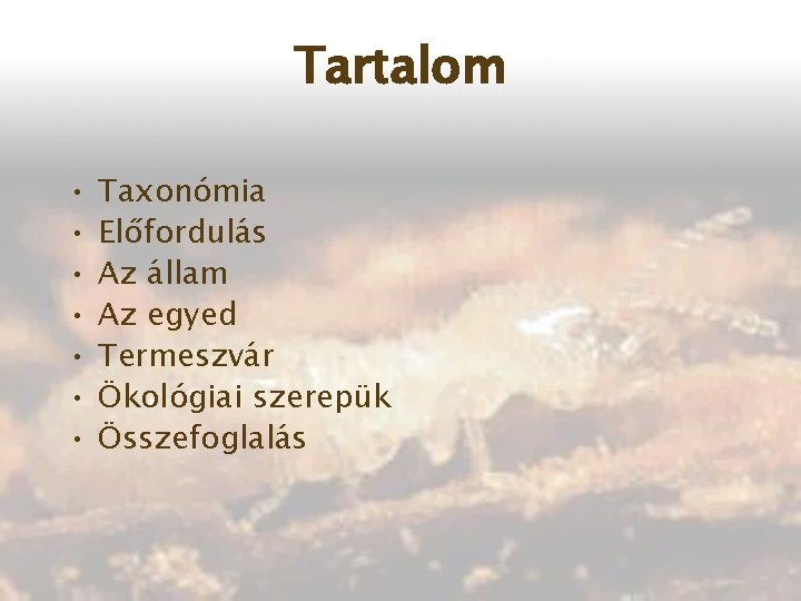 Tartalom • • Taxonómia Előfordulás Az állam Az egyed Termeszvár Ökológiai szerepük Összefoglalás 