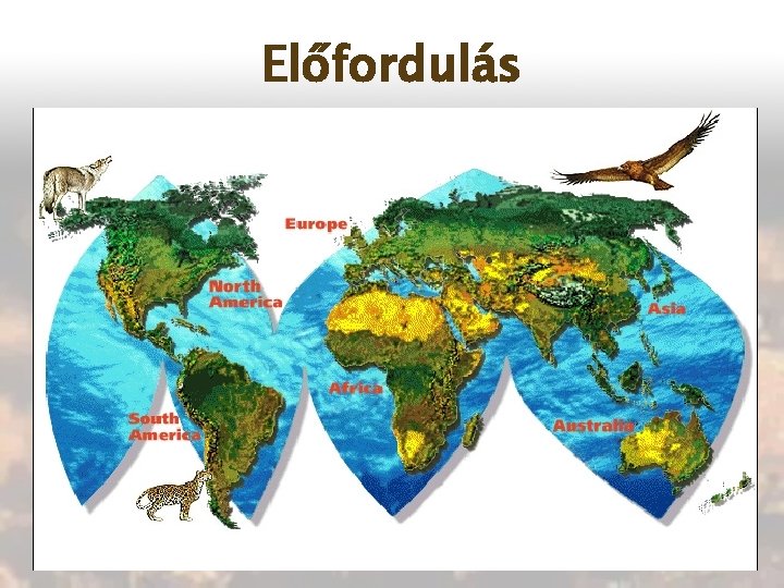 Előfordulás 