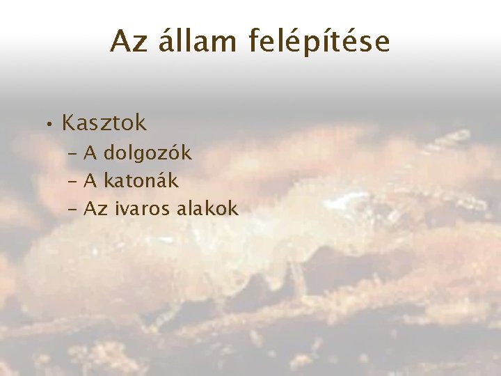 Az állam felépítése • Kasztok – A dolgozók – A katonák – Az ivaros