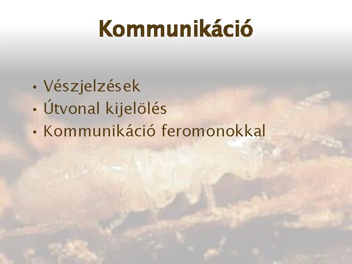 Kommunikáció • Vészjelzések • Útvonal kijelölés • Kommunikáció feromonokkal 