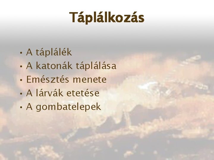 Táplálkozás • A táplálék • A katonák táplálása • Emésztés menete • A lárvák