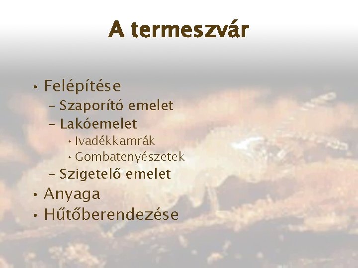 A termeszvár • Felépítése – Szaporító emelet – Lakóemelet • Ivadékkamrák • Gombatenyészetek –