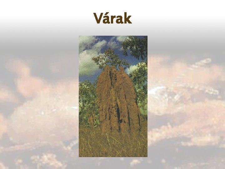Várak 