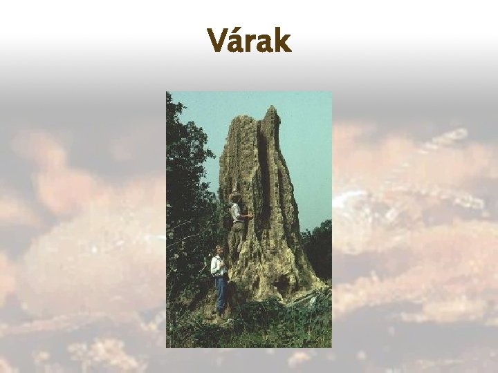 Várak 