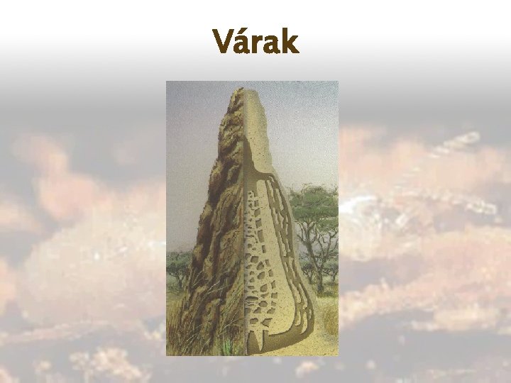 Várak 