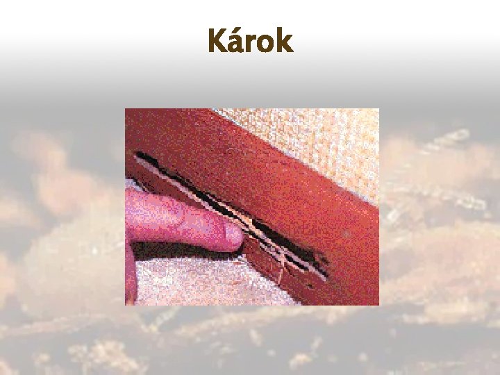 Károk 