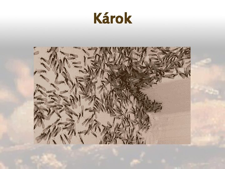 Károk 