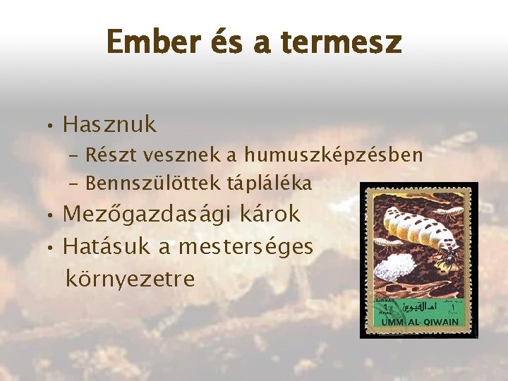 Ember és a termesz • Hasznuk – Részt vesznek a humuszképzésben – Bennszülöttek tápláléka