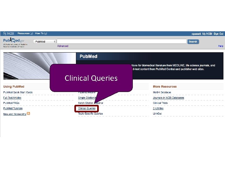 Clinical Queries 