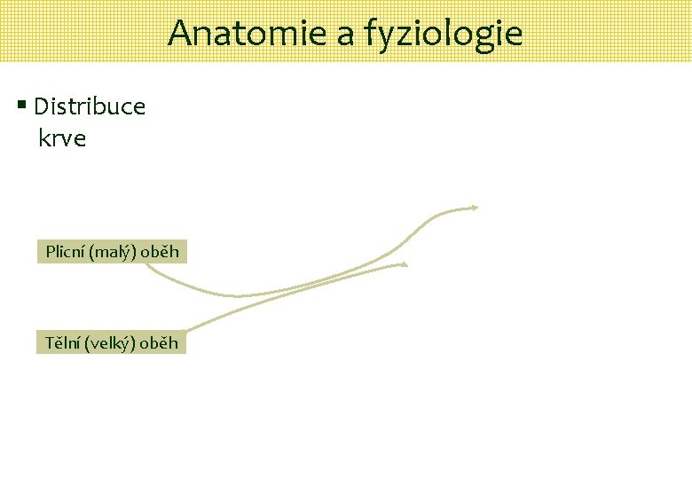 Anatomie a fyziologie § Distribuce krve Plicní (malý) oběh Tělní (velký) oběh 