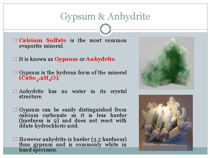 Gypsum & Anhydrite � Calcium Sulfate is the most common evaporite mineral. � It