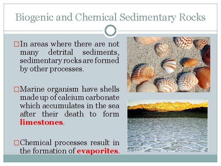 Biogenic and Chemical Sedimentary Rocks �In areas where there are not many detrital sediments,