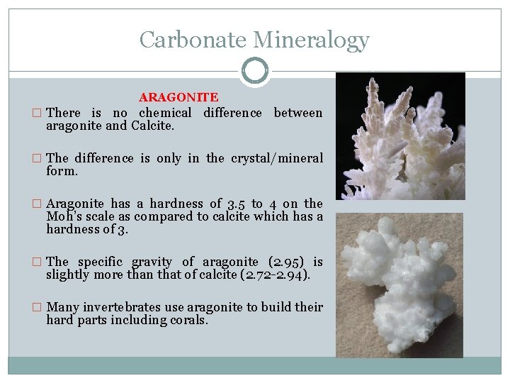 Carbonate Mineralogy ARAGONITE � There is no chemical difference between aragonite and Calcite. �