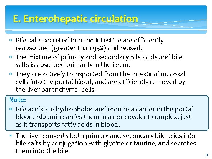 E. Enterohepatic circulation Bile salts secreted into the intestine are efficiently reabsorbed (greater than
