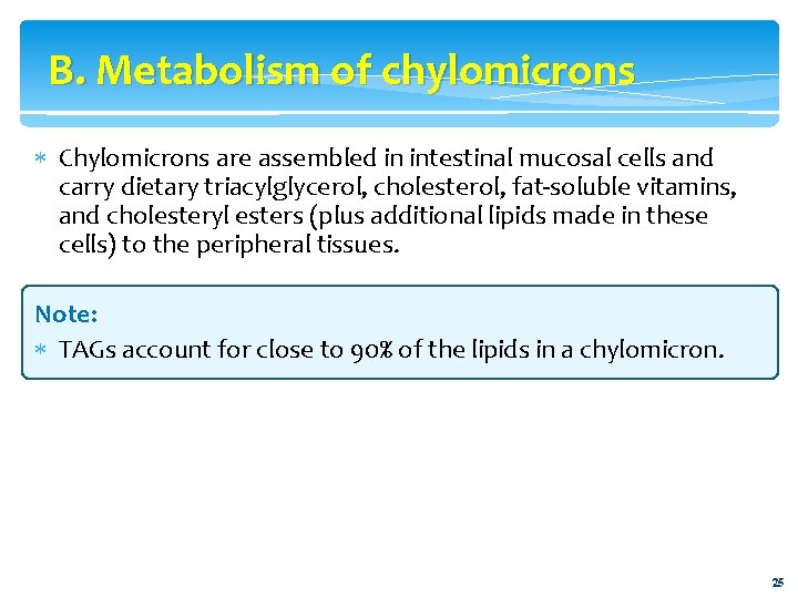 B. Metabolism of chylomicrons Chylomicrons are assembled in intestinal mucosal cells and carry dietary
