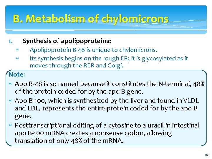 B. Metabolism of chylomicrons 1. Synthesis of apolipoproteins: Apolipoprotein B-48 is unique to chylomicrons.