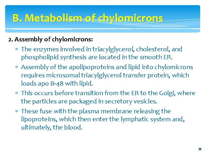 B. Metabolism of chylomicrons 2. Assembly of chylomicrons: The enzymes involved in triacylglycerol, cholesterol,