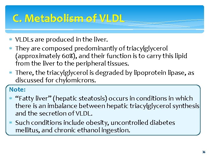 C. Metabolism of VLDLs are produced in the liver. They are composed predominantly of