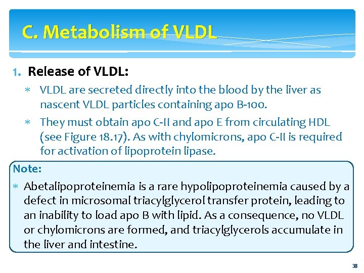 C. Metabolism of VLDL 1. Release of VLDL: VLDL are secreted directly into the
