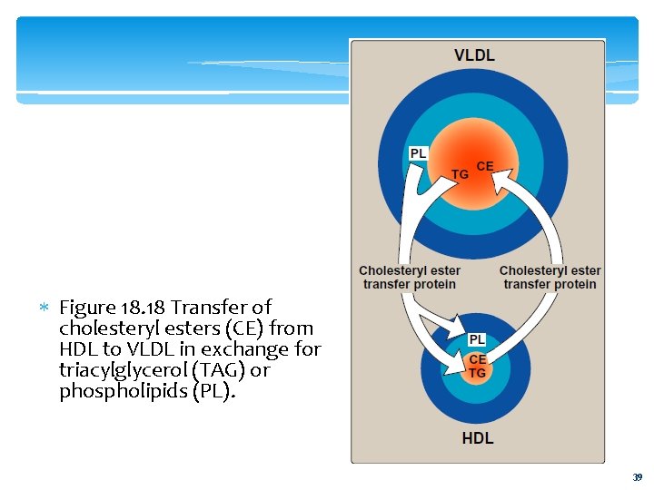  Figure 18. 18 Transfer of cholesteryl esters (CE) from HDL to VLDL in