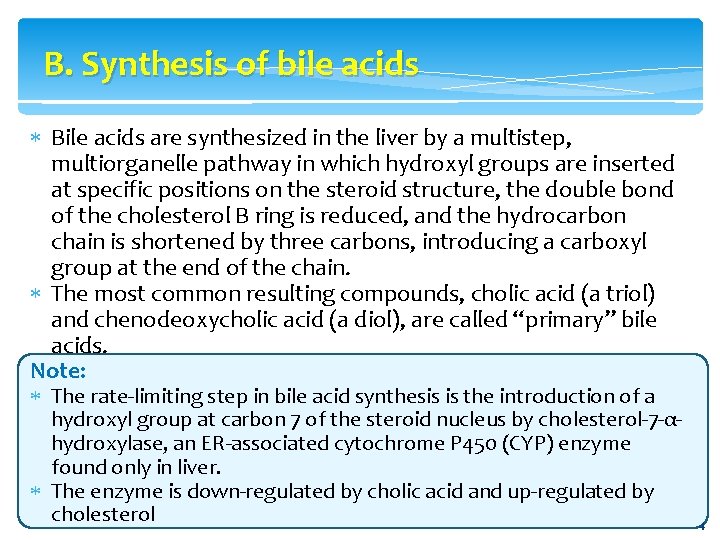 B. Synthesis of bile acids Bile acids are synthesized in the liver by a
