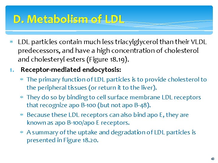 D. Metabolism of LDL particles contain much less triacylglycerol than their VLDL predecessors, and