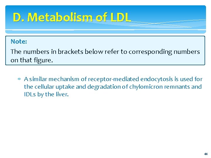 D. Metabolism of LDL Note: The numbers in brackets below refer to corresponding numbers
