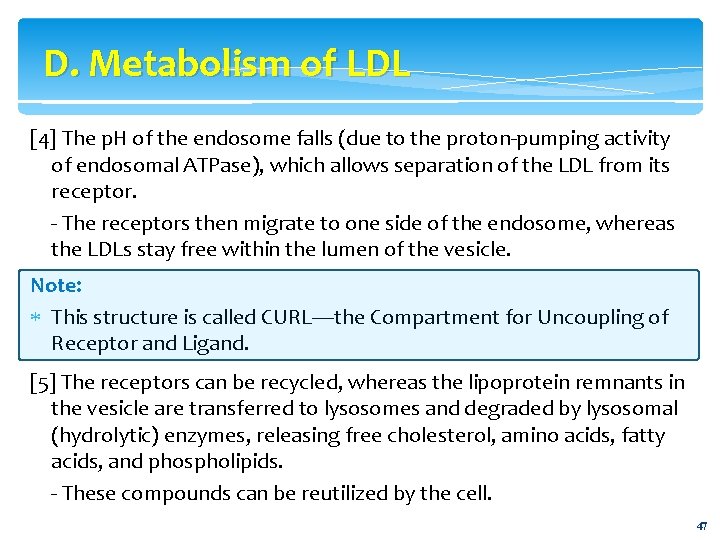 D. Metabolism of LDL [4] The p. H of the endosome falls (due to
