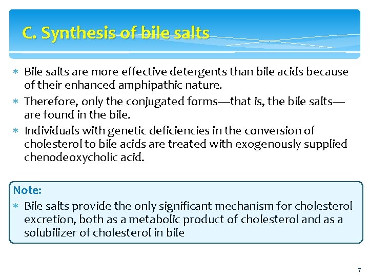 C. Synthesis of bile salts Bile salts are more effective detergents than bile acids