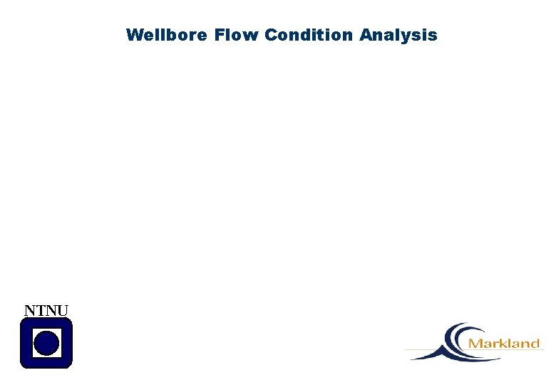 Wellbore Flow Condition Analysis NTNU 