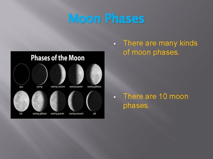 Moon Phases § There are many kinds of moon phases. § There are 10