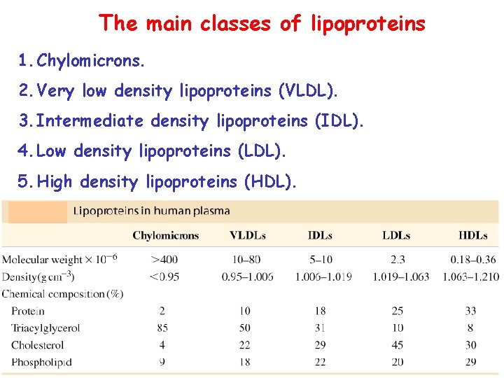 The main classes of lipoproteins 1. Chylomicrons. 2. Very low density lipoproteins (VLDL). 3.