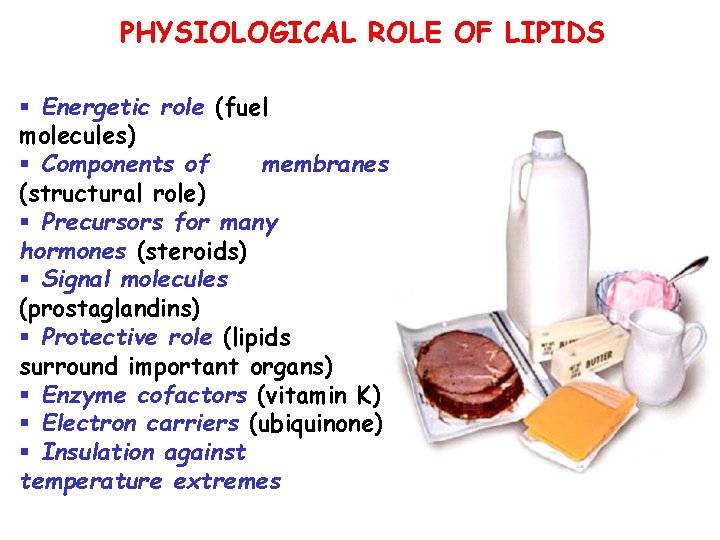 PHYSIOLOGICAL ROLE OF LIPIDS § Energetic role (fuel molecules) § Components of membranes (structural