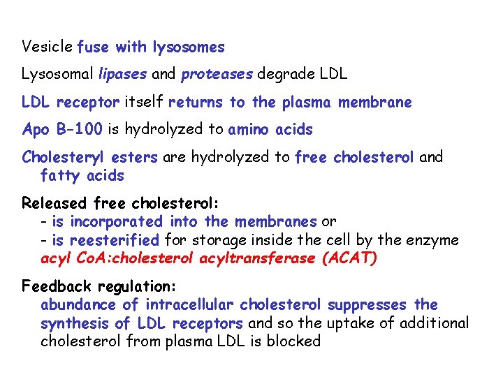 Vesicle fuse with lysosomes Lysosomal lipases and proteases degrade LDL receptor itself returns to